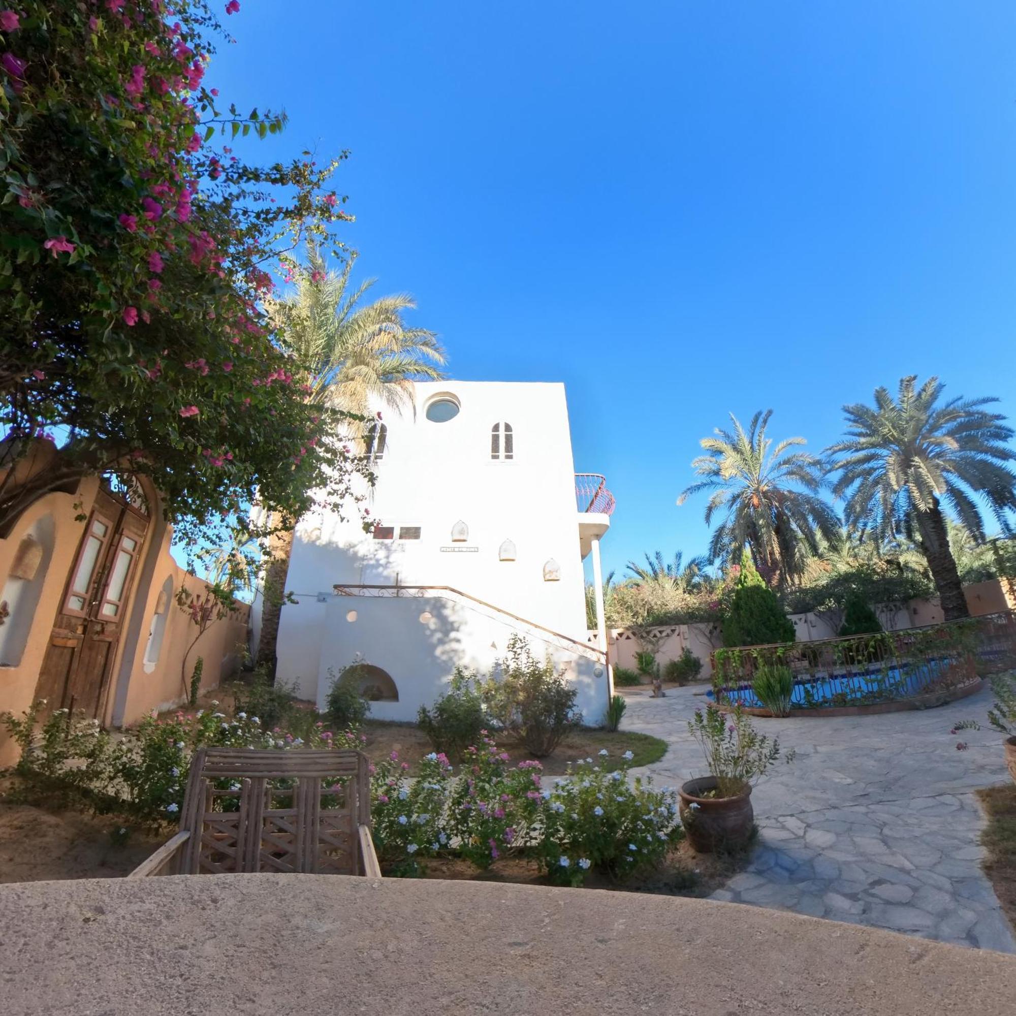 Alexander Lodge Siwa Oasis Εξωτερικό φωτογραφία