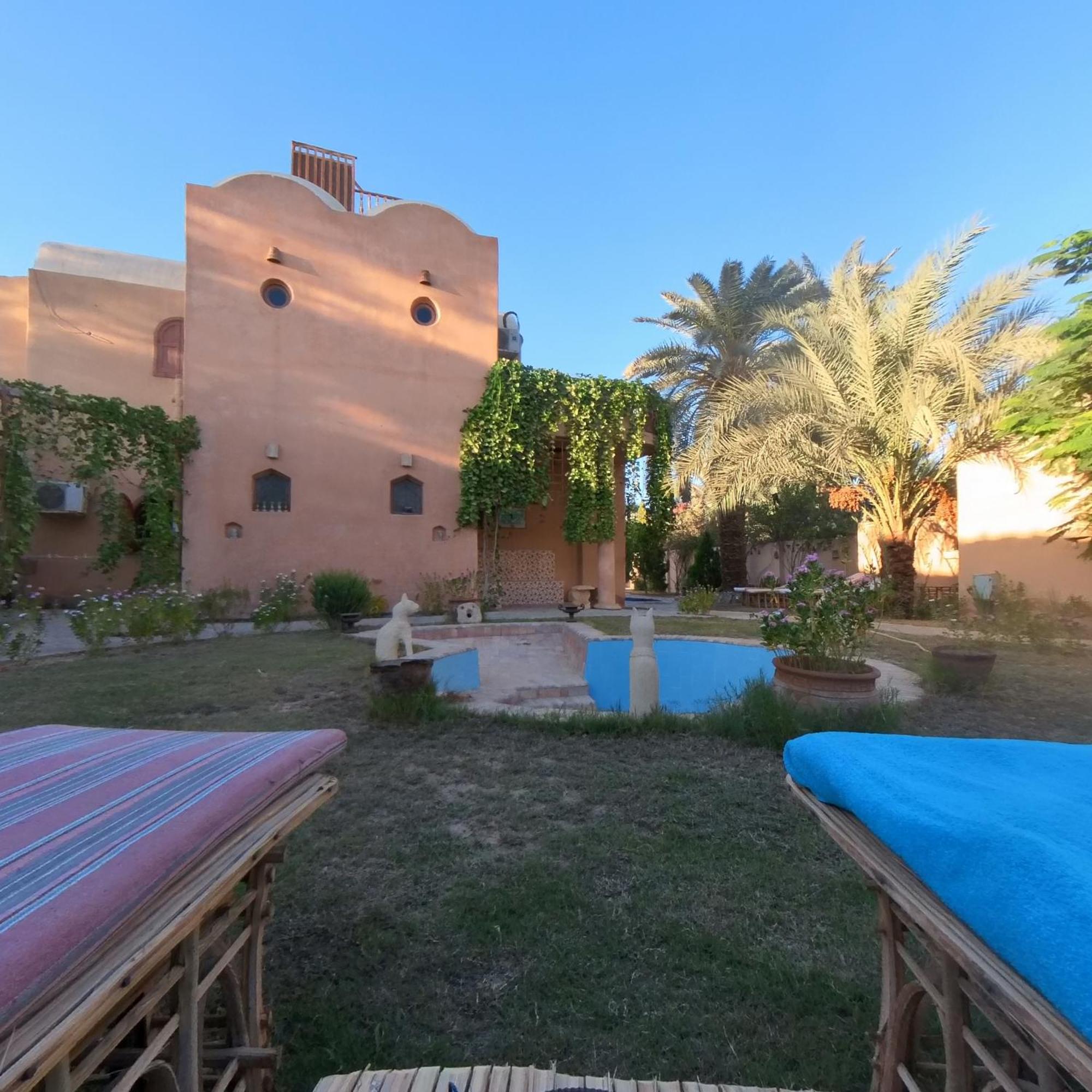 Alexander Lodge Siwa Oasis Εξωτερικό φωτογραφία