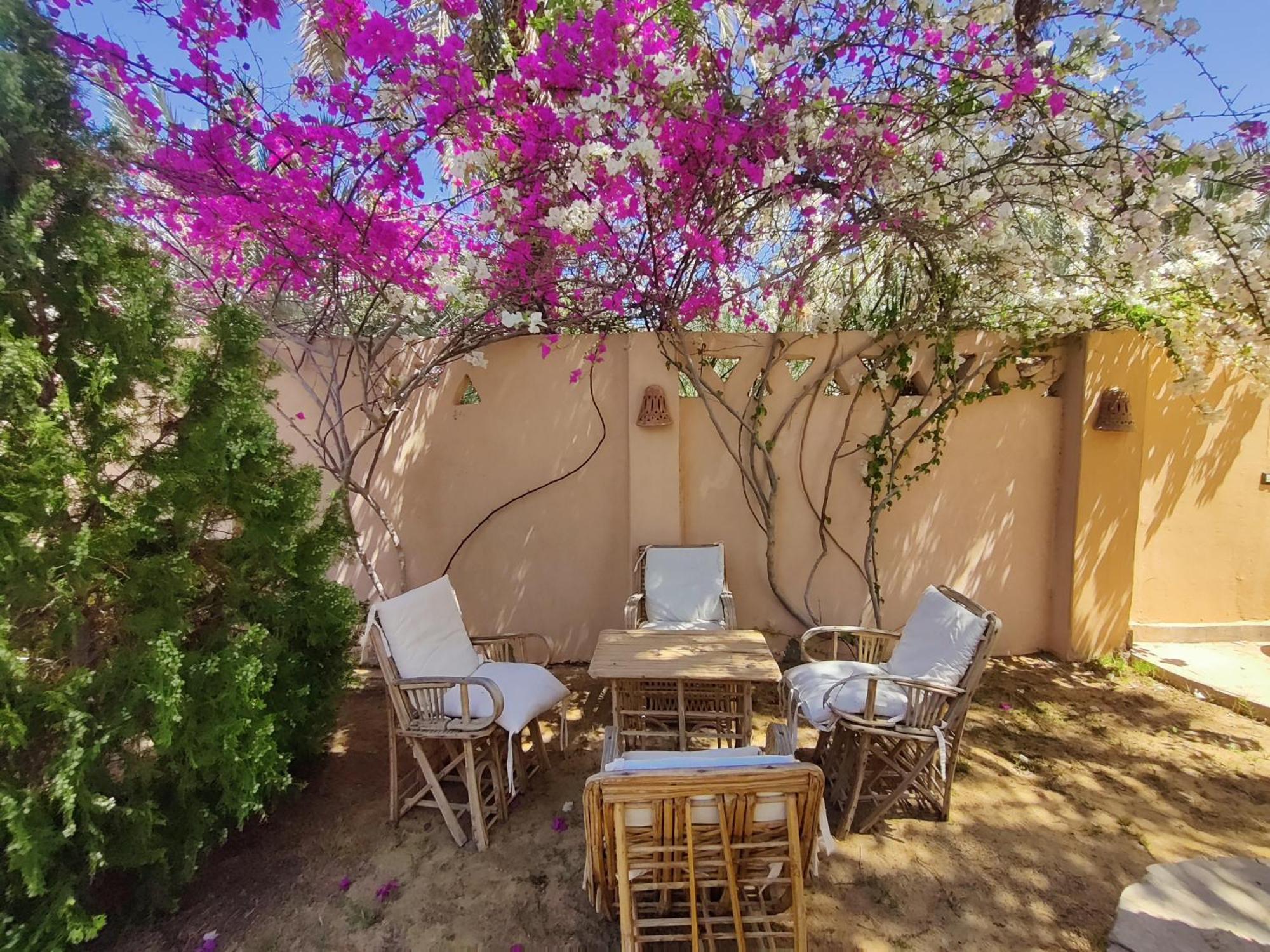 Alexander Lodge Siwa Oasis Εξωτερικό φωτογραφία